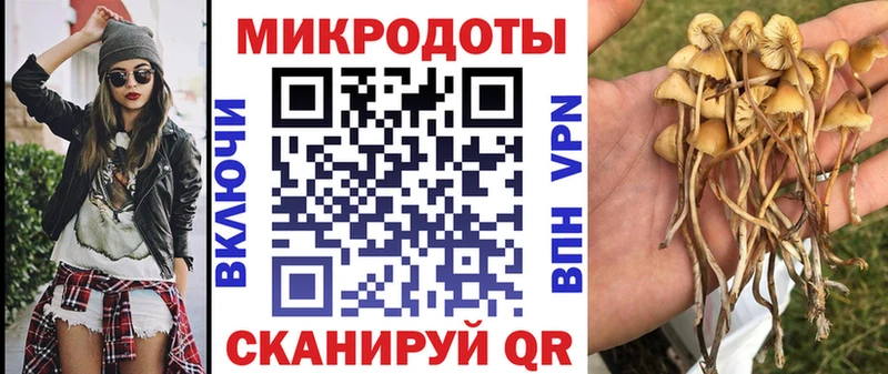 даркнет сайт  Павлово  Псилоцибиновые грибы ЛСД 