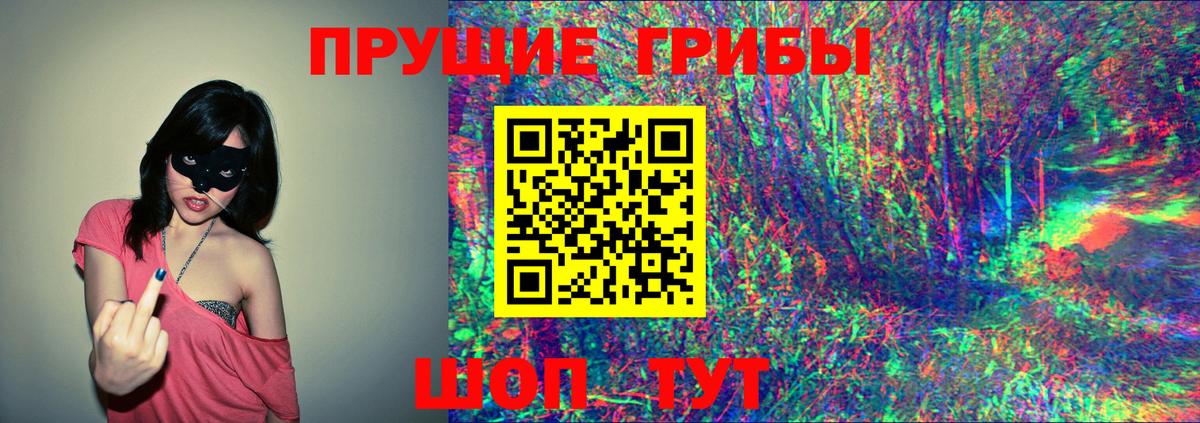 Псилоцибиновые грибы GOLDEN TEACHER  Галлюциногенные грибы Psilocybine cubensis  Павлово  Вход с VPN 