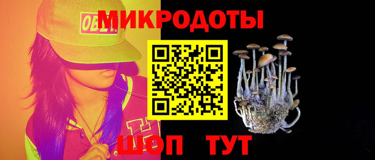 Галлюциногенные грибы Psilocybine cubensis Павлово